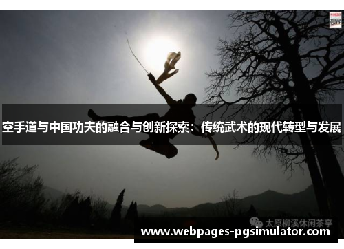 空手道与中国功夫的融合与创新探索：传统武术的现代转型与发展